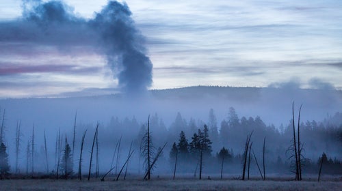 “We are delighted to see that more and more visitors are making their way to Yellowstone to experience the park.”