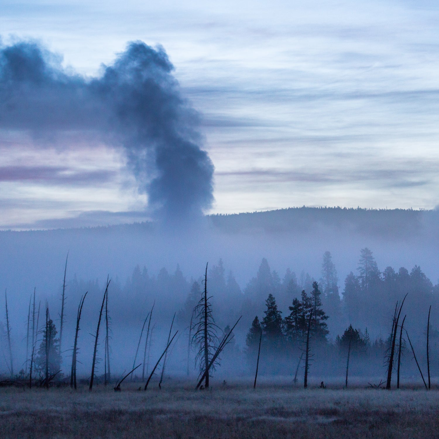 Yellowstone Breaks Attendance Record