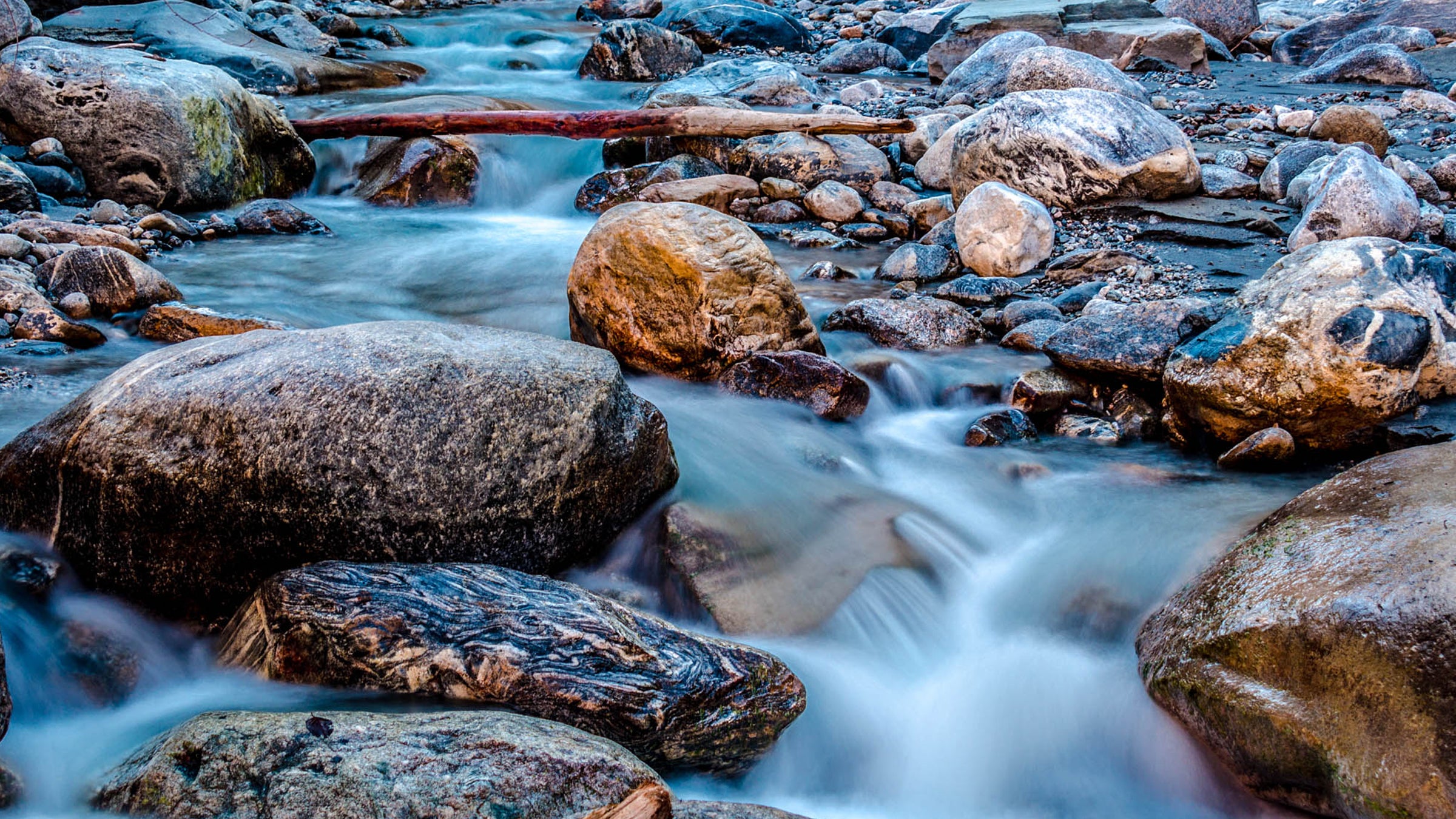 “You have a private, for-profit corporation taking water at a super-cheap rate, sticking it in bottles, and selling it. The one thing everyone could agree on was that [Nestle's water rights] made no sense.”