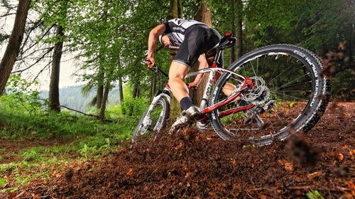 Mountain bikers' preferences were surprisingly localized, though Coors Light and Bud Light were also high-ranking.