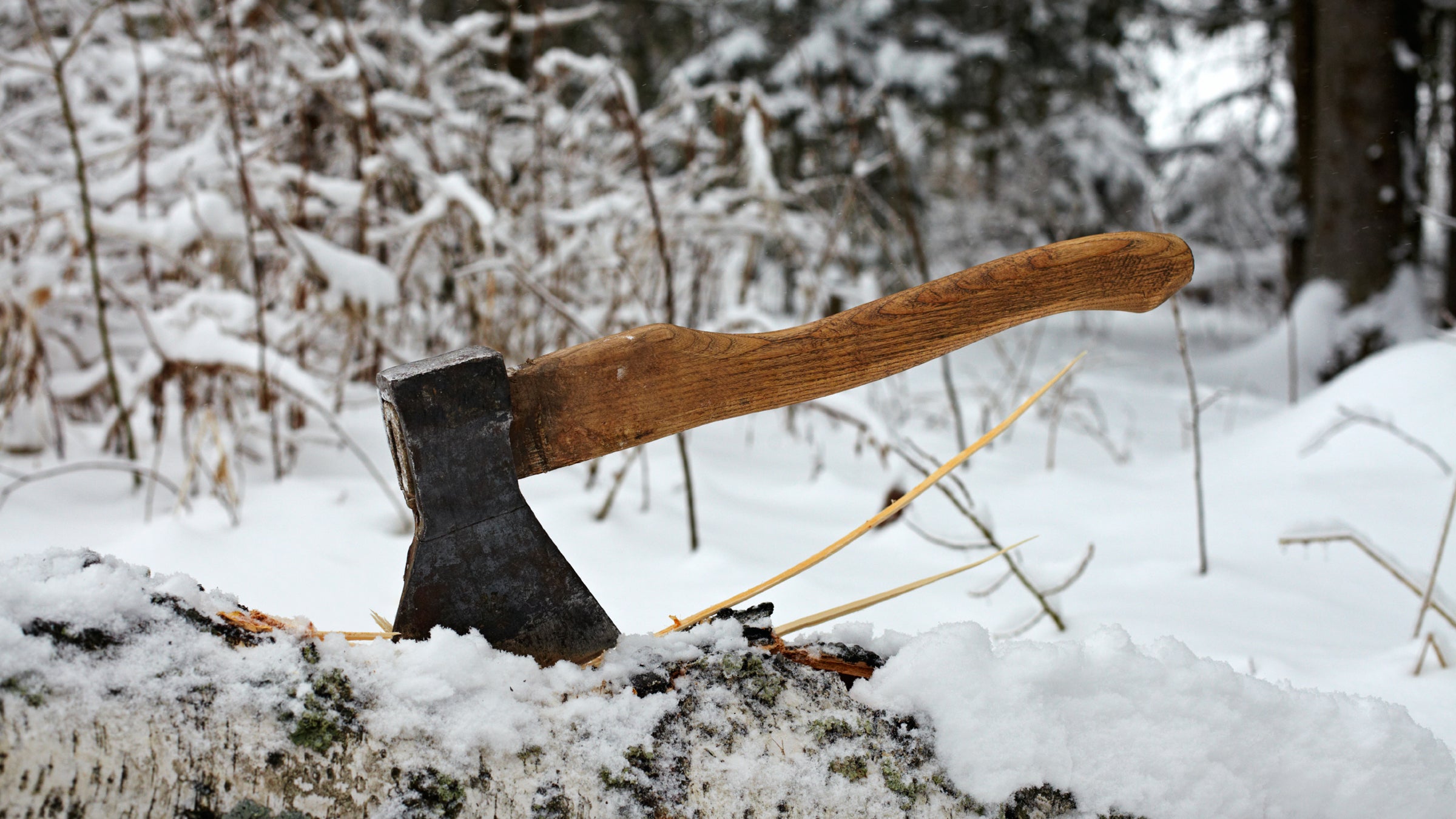 Glading is the practice of felling trees for makeshift ski runs. 