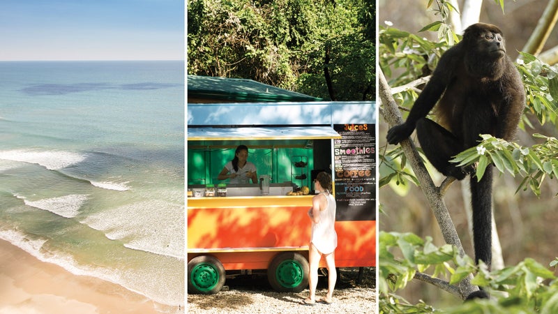 From left: The beach at Santa Teresa; beachside refreshments; a howler monkey in the trees.
