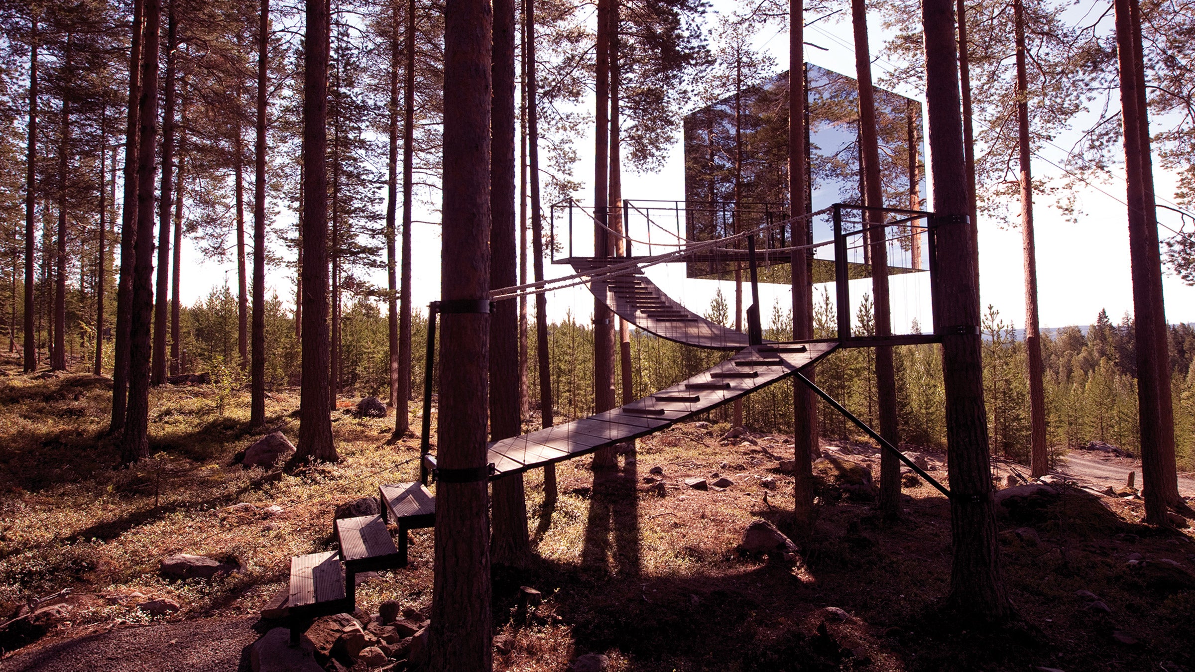 Sweden's Tree Hotels all feature unusual designs—one is a mirrored cube, one looks like a UFO, and another looks like a bird's nest.