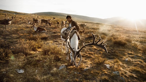 When you think of Mongolia, you might imagine endless, rolling steppes or the sweltering sands of the Gobi. Or horses, or yurts. (They’ve got those, right?) Lush alpine forests and fuzzy-antlered reindeers don’t typically make the cut.
But we had heard of an area in the far north of Mongolia that straddles the Russian border. An area where a nomadic reindeer-herding tribe dwells for the summer months. An area called the Darkhad Depression, only reachable by foot or horseback. We had also heard that you could hire a guide, hop on horses, and visit this place.