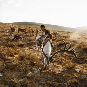 When you think of Mongolia, you might imagine endless, rolling steppe or the sweltering sands of the Gobi. Or horses, or yurts…they’ve got those, right? Lush alpine forests and fuzzy-antlered reindeers don’t typically make the cut. But we had heard of an area in the far north of Mongolia that straddles the Russian border. An area where a nomadic tribe that herds reindeers dwells for the summer months. An area called the Darkhad Depression, only reachable by foot or horseback. We had also heard that you could hire a guide, hop on horses and visit this place. To get there, I flew with four friends from Los Angeles to the capital, Ulaanbaatar. After a quick domestic flight, we were met in the town of Mürün by our guide and driver in a Soviet-era Russian-made UAZ Bukhanka, which literally translates to “bread loaf.” The thing looked like a VW camper van on ‘roids.