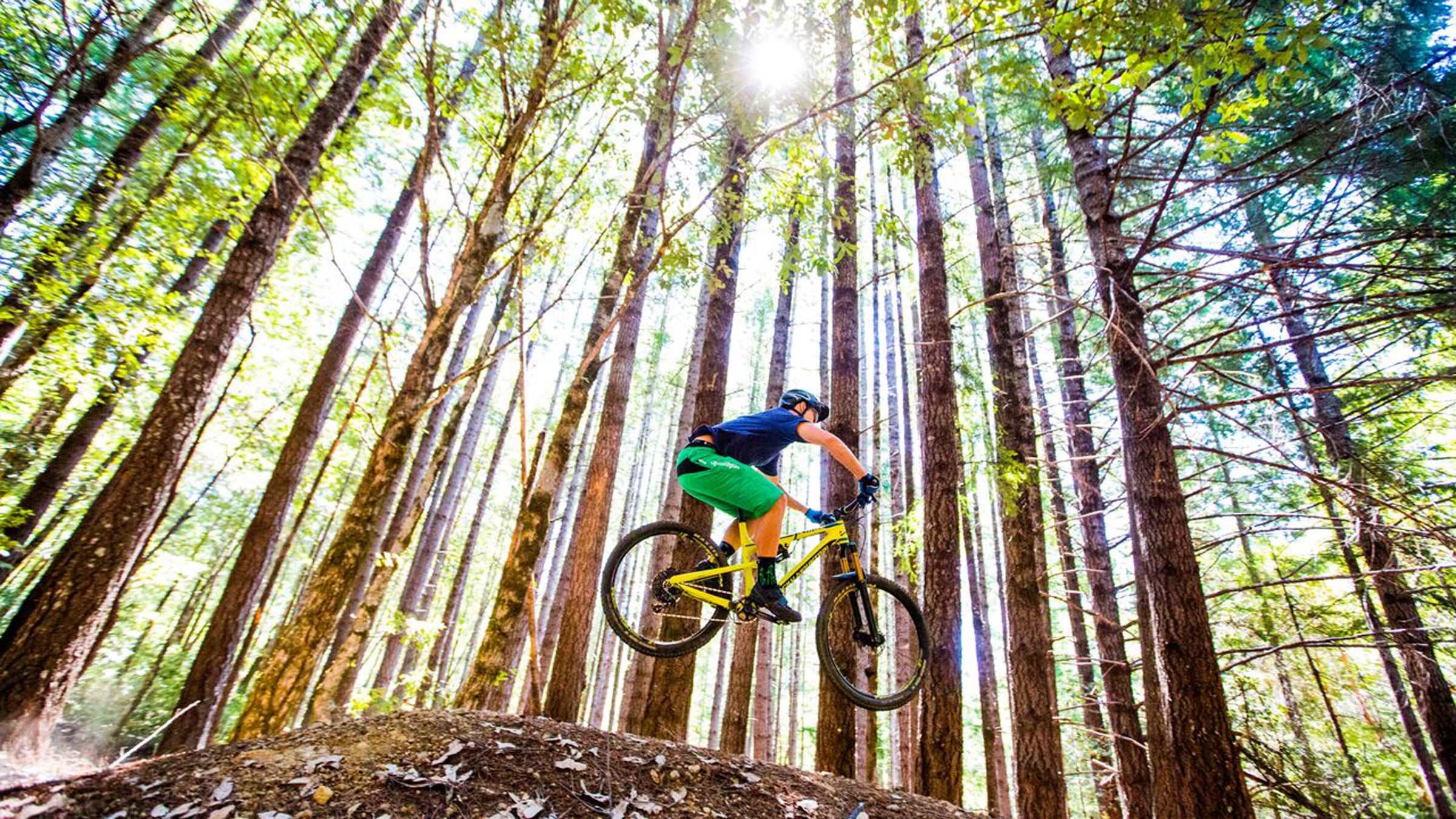 Paradise Royale Mountain Bike Trail System in California. The Bureau of Land Management partnered with mountain biking organizations to design and build the trails.