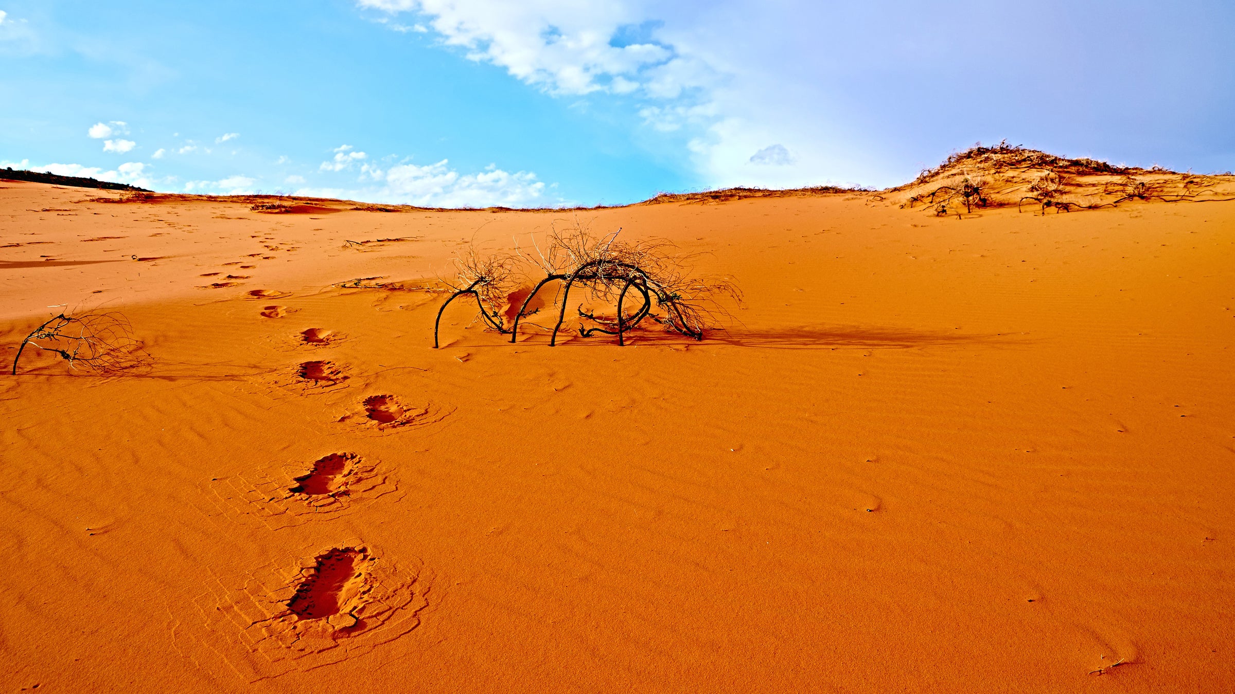 2015 is on track to being the hottest year on record.