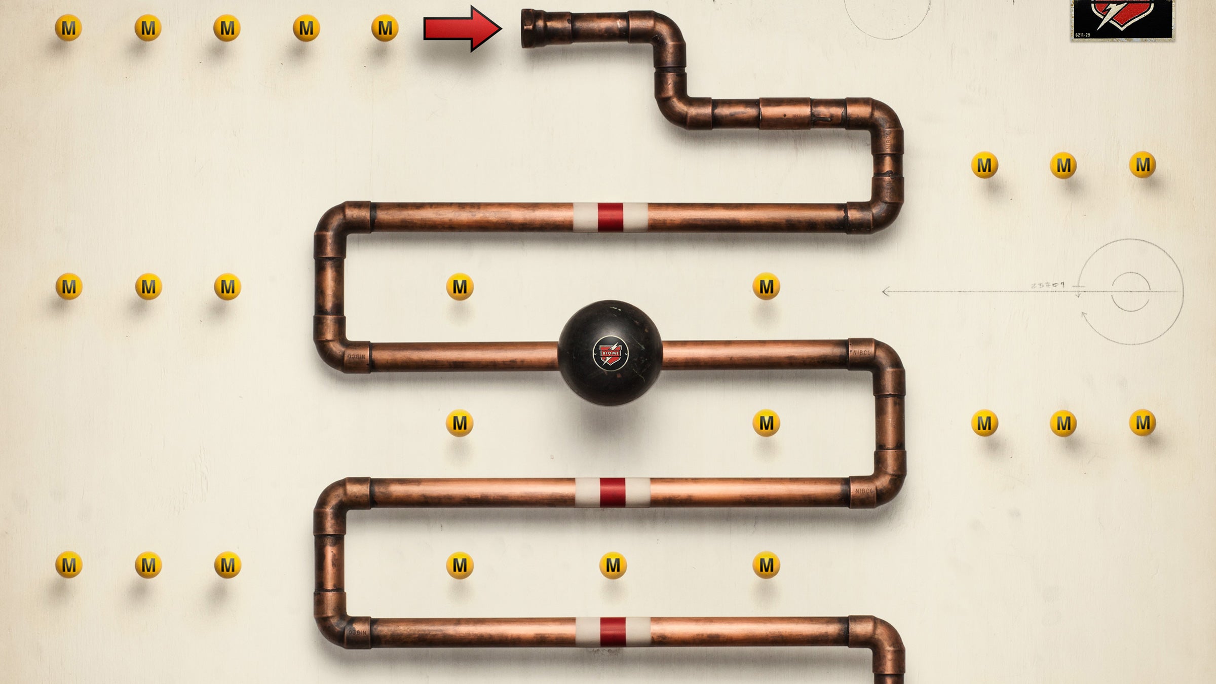 The microbiota of an elite athlete, it turns out, may be quite different from that of a sedentary person.