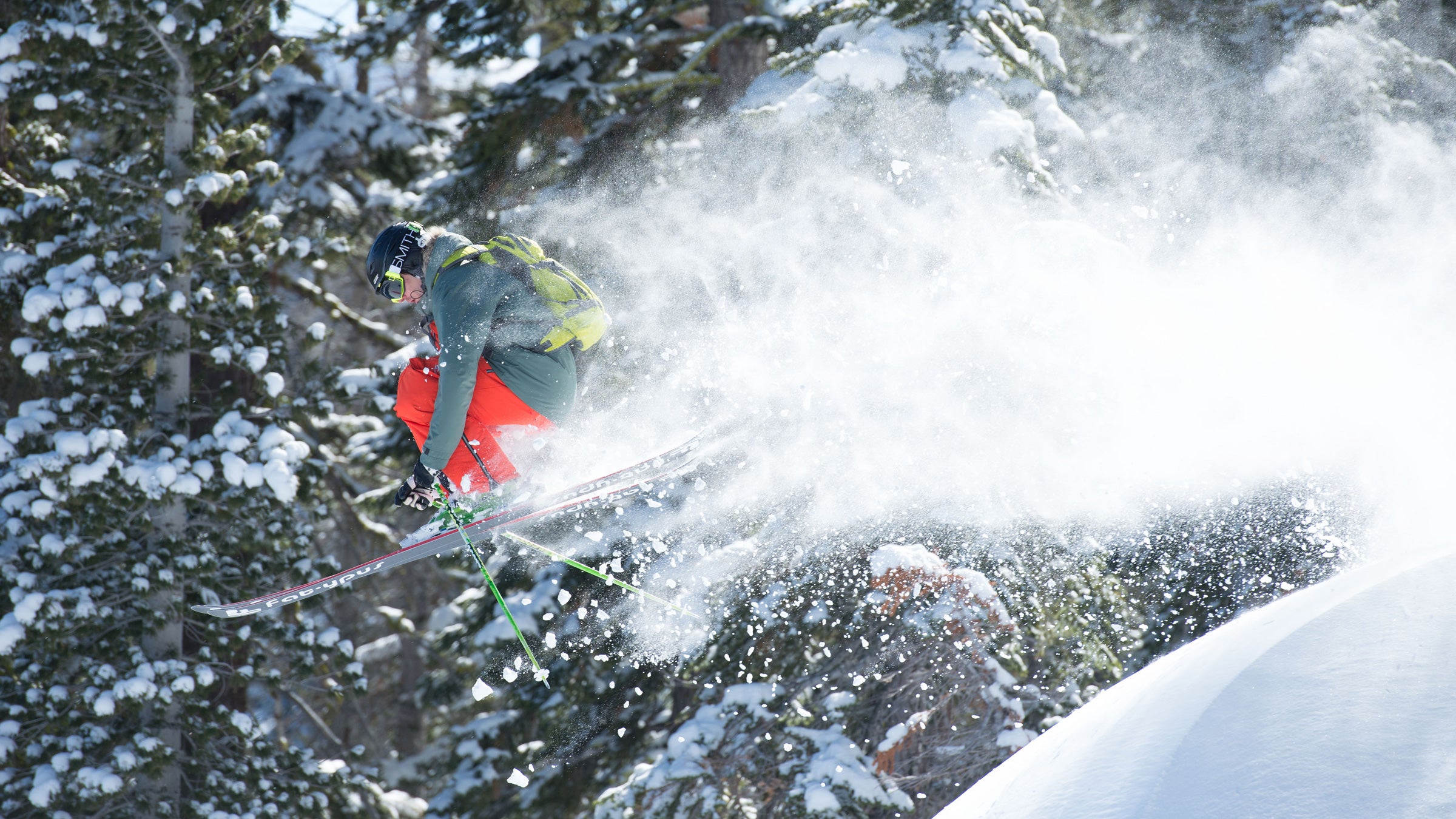 The chamois, king of the snow: how it survives winter storms