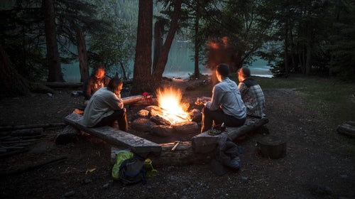 Tell your family you're spending Thanksgiving in the woods this year.