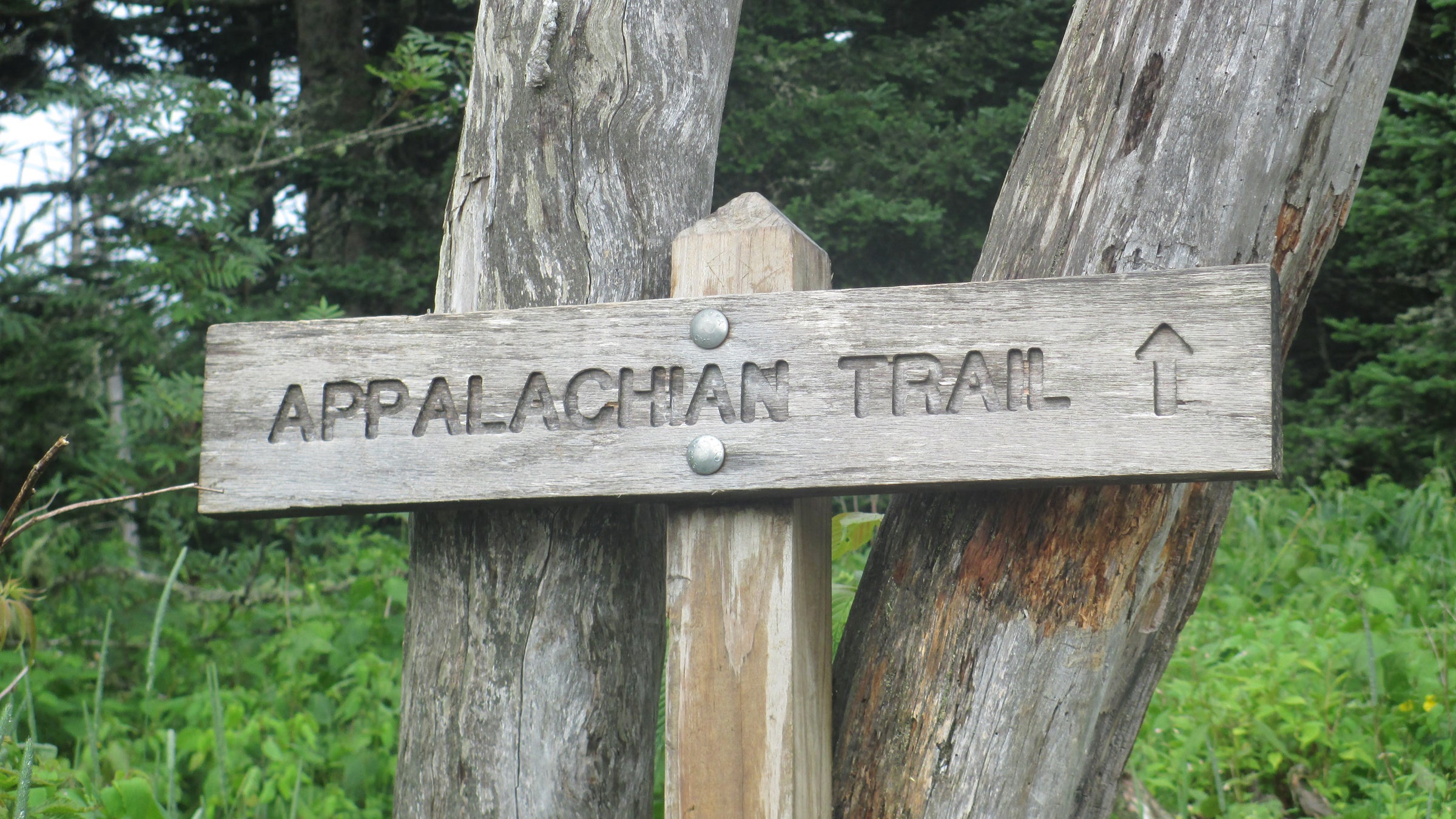 The JFK 50 Mile race course begins in Boonsboro, Maryland, and goes through a section of the Appalachian Trail.