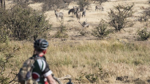The first day鈥檚 ride was 46 miles along sandstone ridges and through the bush on the eastern edge of the Kalahari ecosystem, through the Mashatu and Tuli Game Reserves. As with any safari, there were wildebeests, giraffes, hyenas, jackals, warthogs, guinea fowl, curious vervet monkeys and baboons, and heaps of desiccated dung, which I eventually started aiming for. At one point, a herd of zebras cantered alongside us. The following day, a herd of impalas cut us off.