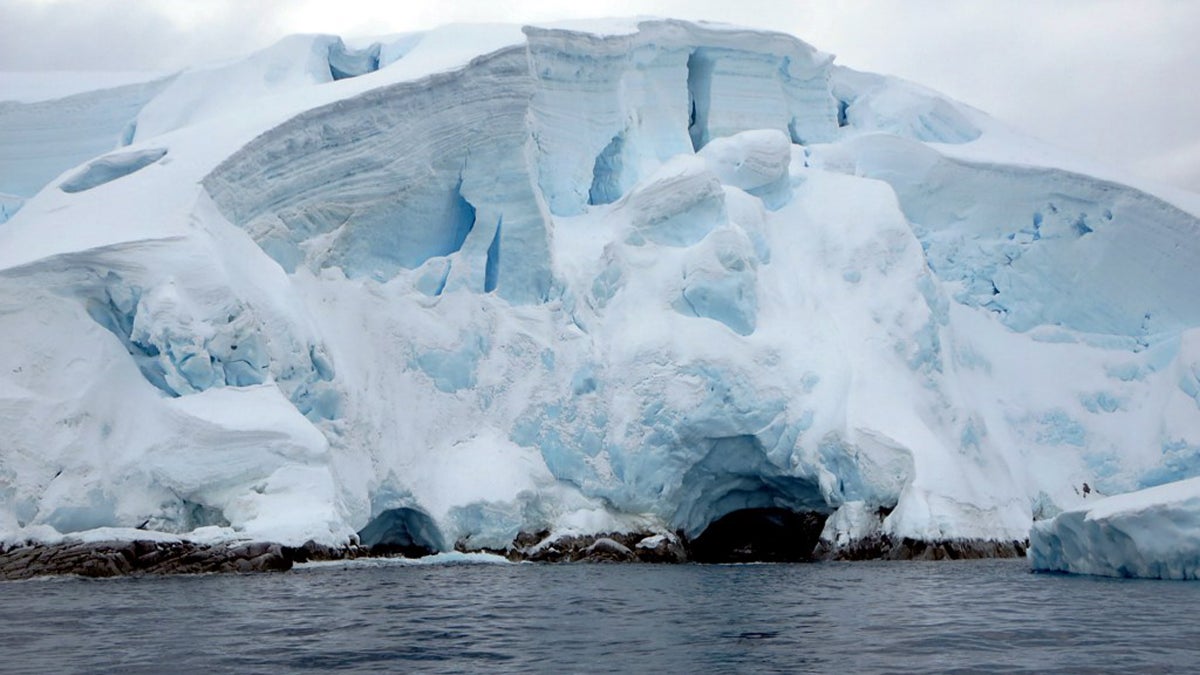 2015 THE BEST YEAR IN HISTORY FOR THE AVERAGE HUMAN BEING visual data 4