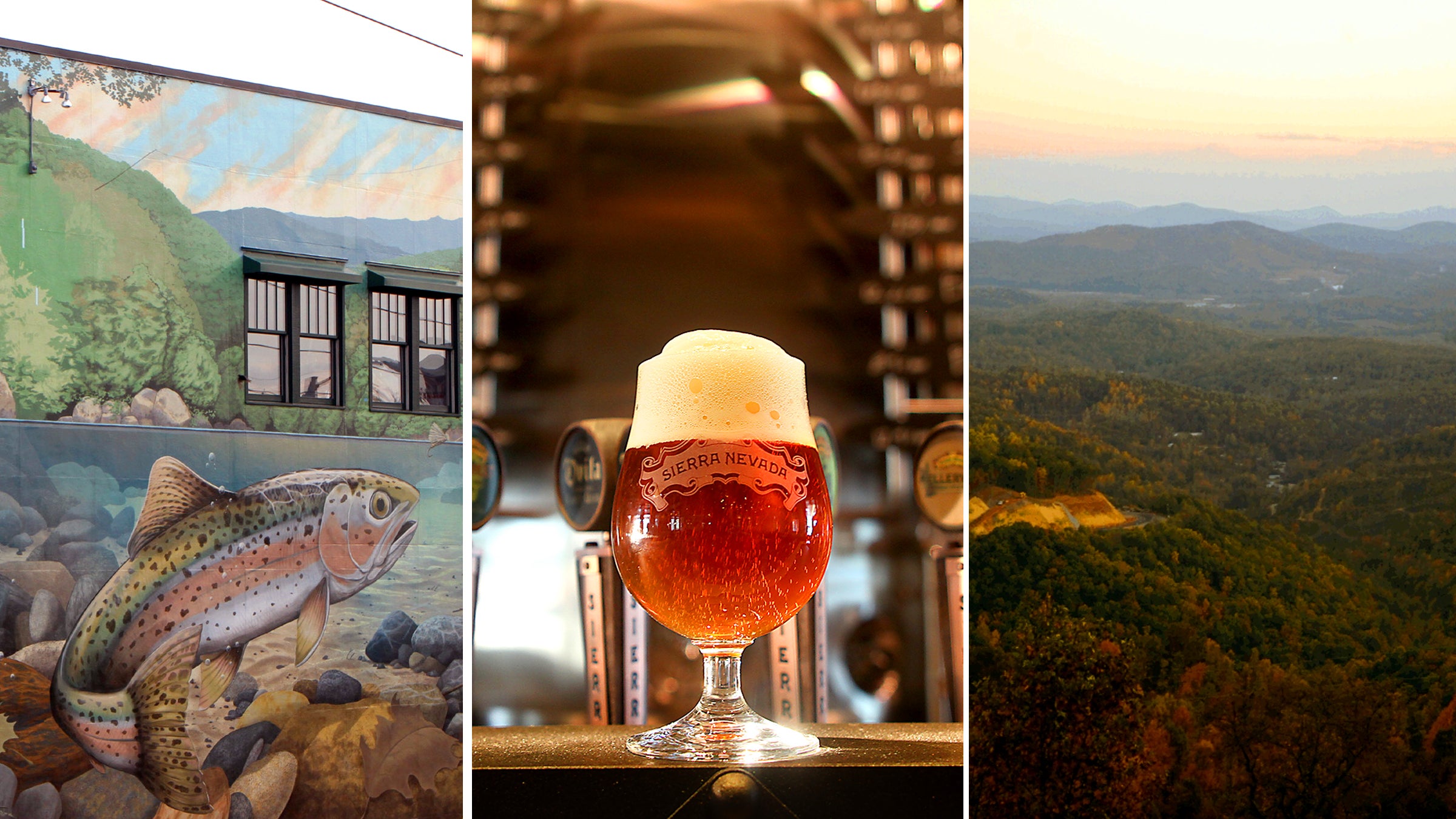 From left: An Asheville mural, Sierra Nevada's North Carolina taproom, and Pisgah National Forest.