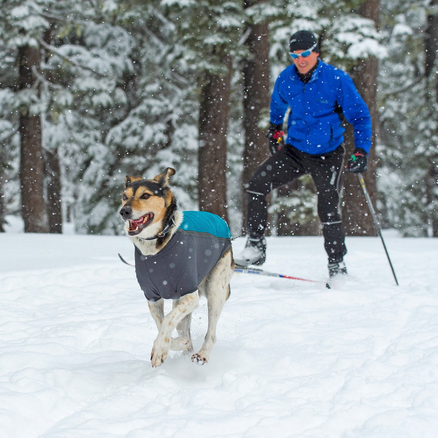 Get your dog the right gear for more playtime in the snow.