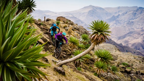 Pro racer Sarah Leishman tears up the descent from Ras Deshan on loamy trails as sticky as Velcro that wove through stands of giant lobelias. The Ethiopian highlands are the only place in the world to see these Dr. Seussian plants, like basketball-size green asterisks on head-high stems. In the highlands, Sarah was almost as much of a rarity as the plants are elsewhere. Whole villages would shout and gape to see a woman shredding as hard as the boys. A few marriage proposals ensued.