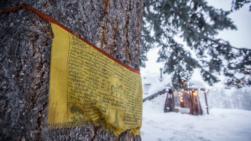 When I moved into the dome, I wrapped prayer flags around the big tree in my front yard. That giant pine tree鈥攁nd the three others just like it鈥攊s one of my favorite things about the house. It鈥檚 a key player in the vibes out here at the Board Ranch.