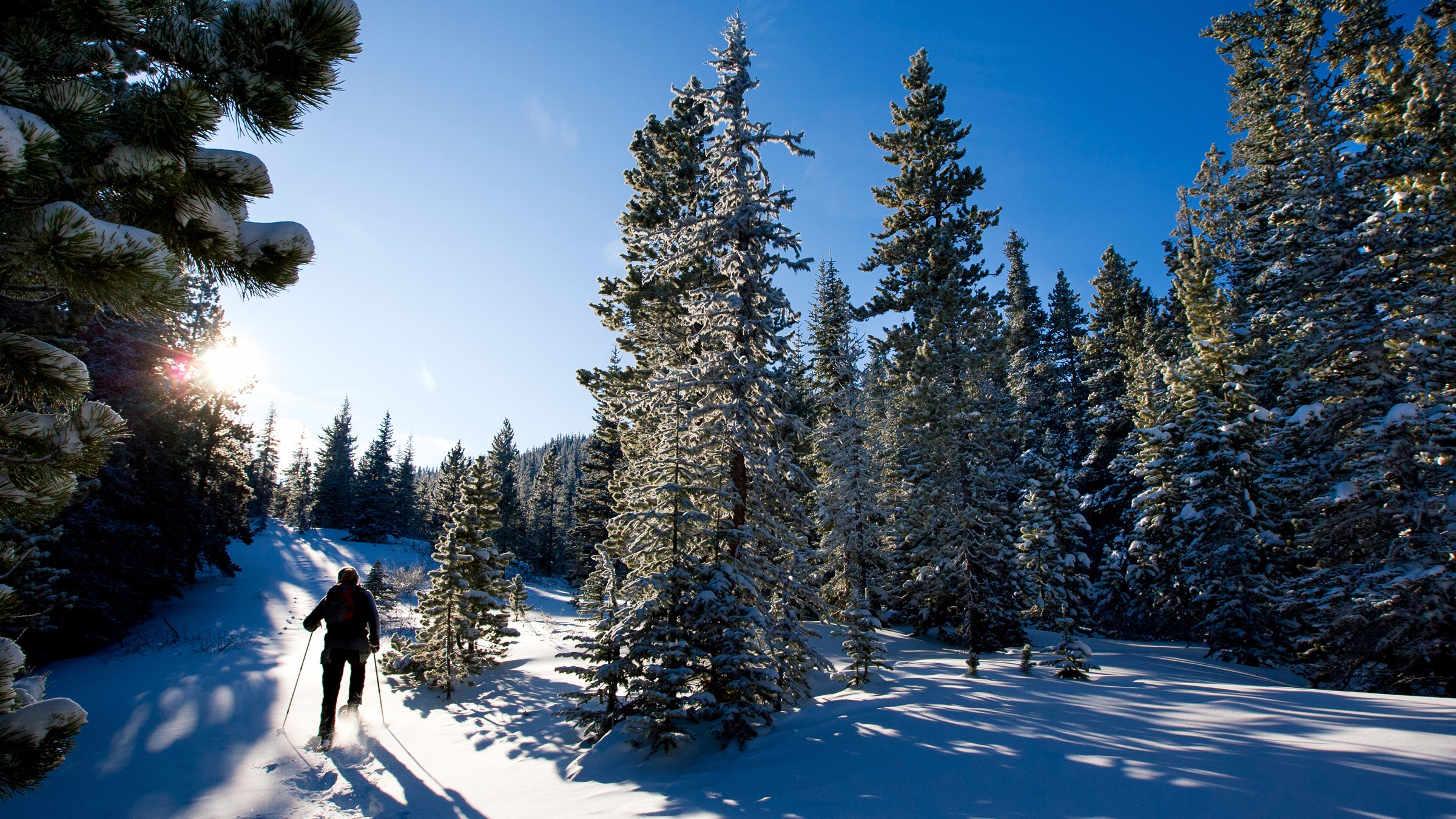 Recreating holiday culinary traditions in the backcountry can take creativity—and a willingness to fail completely.
