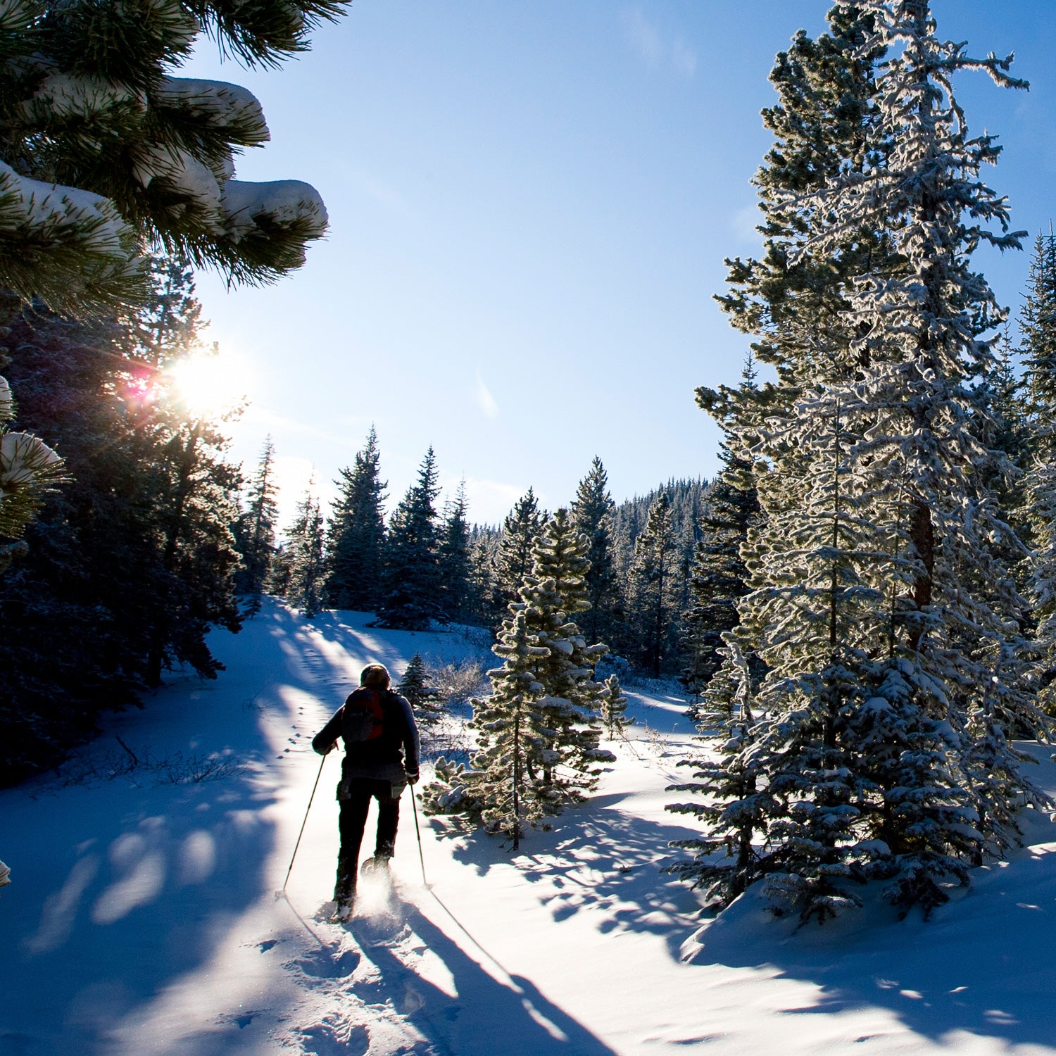 activity: Snowshoe