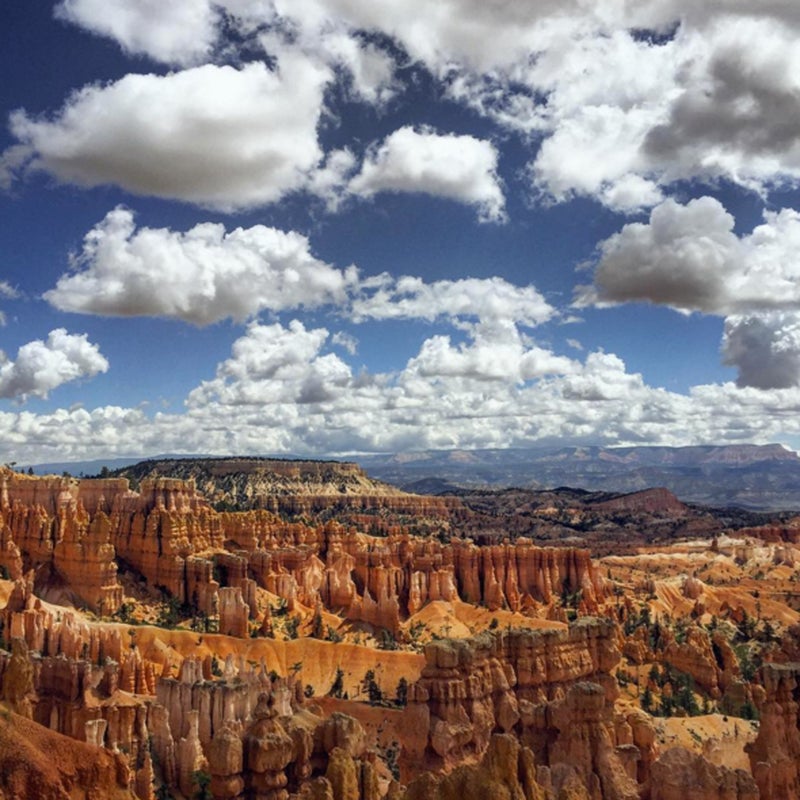 The park has the largest quantity of hoodoos or tent rocks—tall pillars of rock caused by erosion—in the world.