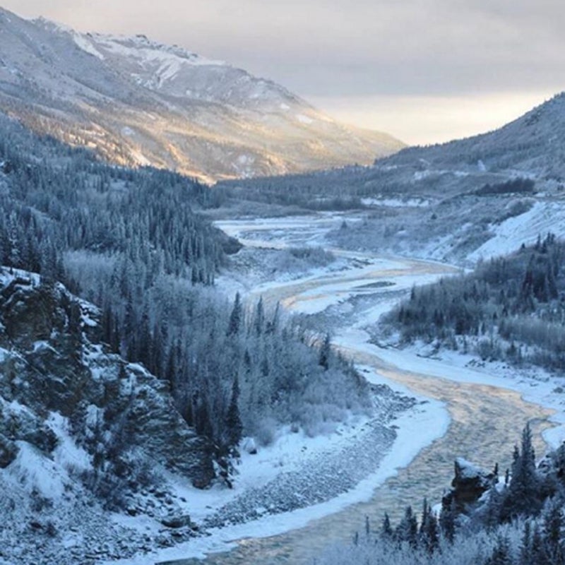 The Nenana River winds through wintry Alaskan mountains for over 40 miles through the park.
