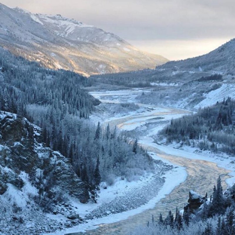 Denali National Park (@denalinps) • Instagram photos and videos