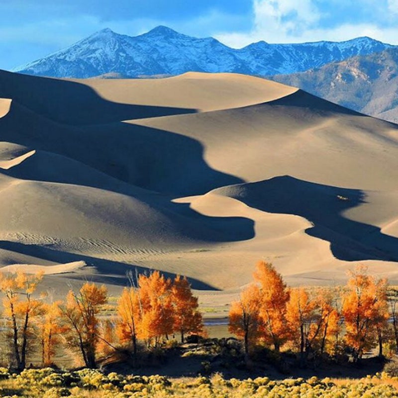 Home to 750-foot-tall dunes, this Colorado park is framed by the Sangre de Cristo Mountains, which reach 13,000 feet.