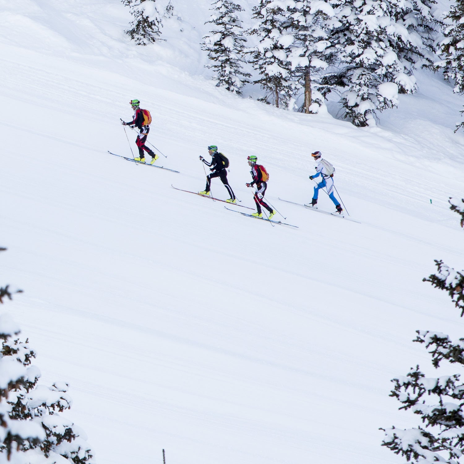 Skimo competitors at the Power of Four race in Aspen.