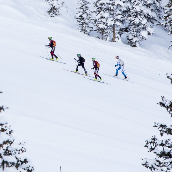 Ski Mountaineering Racing: Equipment for a skimo race