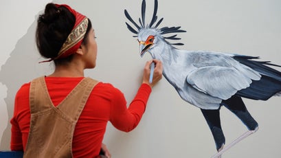 Painting a secretarybird.