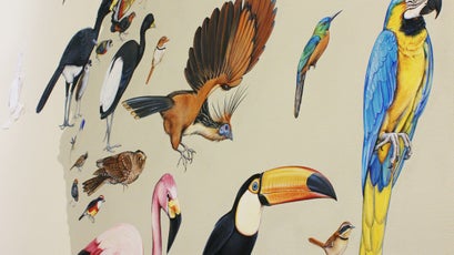 Detail from the Wall of Birds.