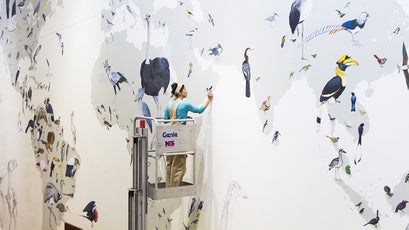 Working on the Wall of Birds.