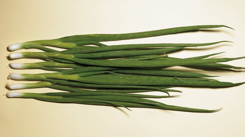 Fueling up should be healthy for you—and the planet. But how do you figure out the most sustainable diet?