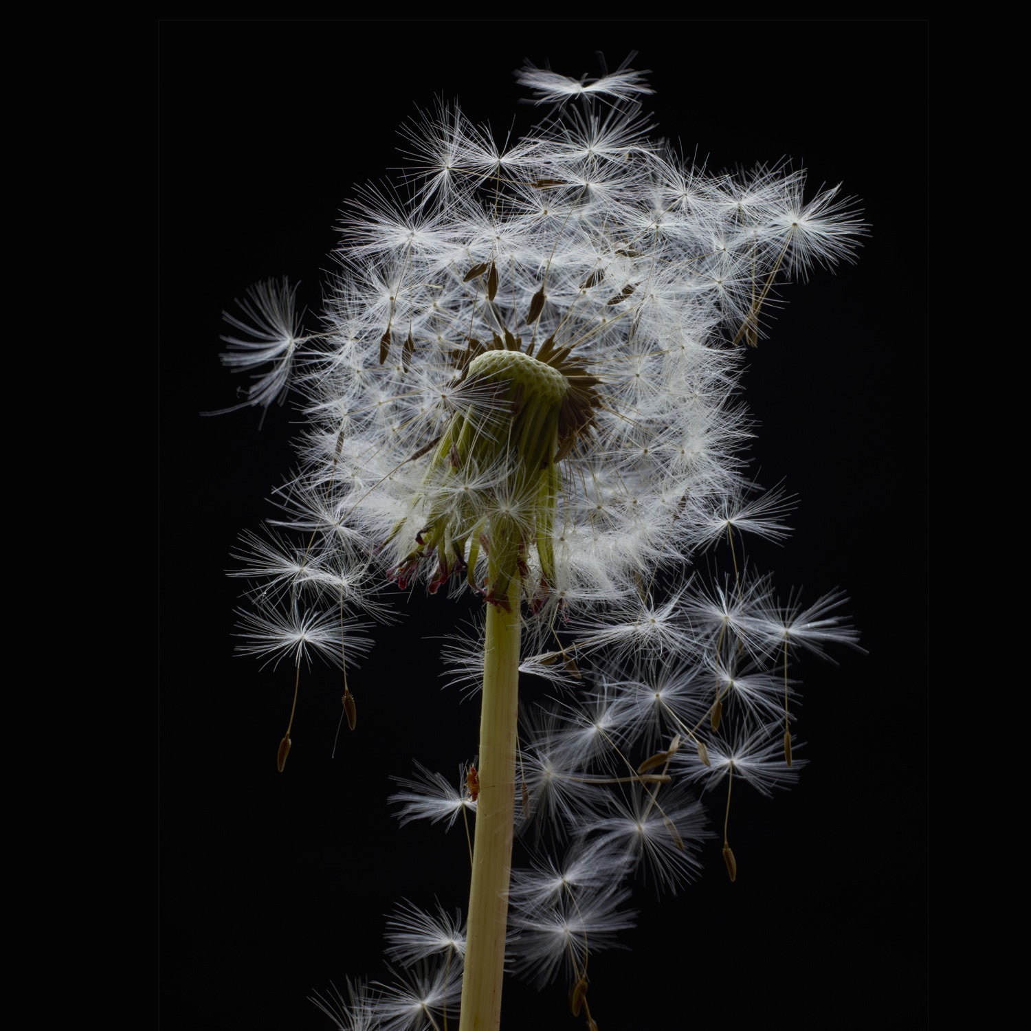 Extreme sports are powerful medicine for kids who are allergic to sitting still.