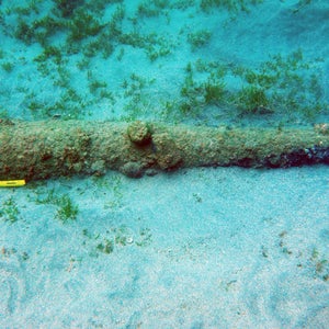 The sunken cannon off the island of St. Kitts uncovered by Eric Sanford.