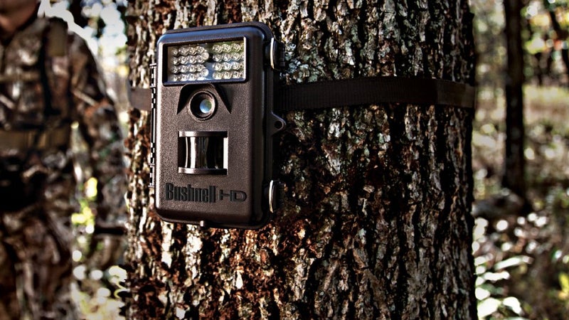 Affordable and capable of the high quality images you see here, we recommend this 8 MP Bushnell.