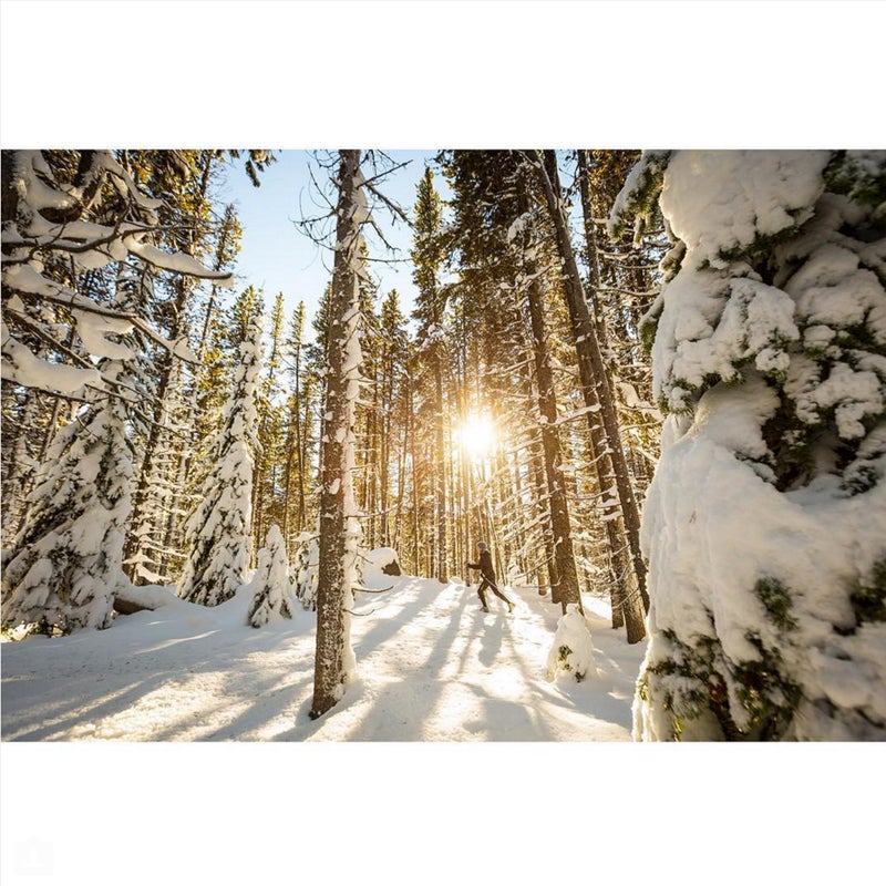 @stirlandraephoto: When escaping the crowds means simply going in the opposite direction.