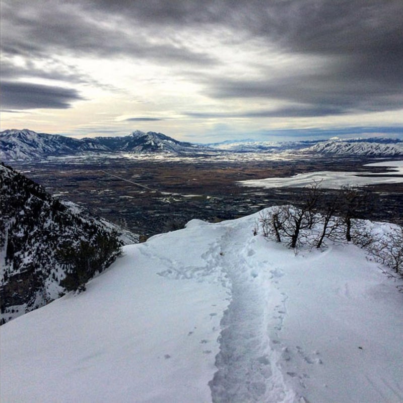 @tannerjfrost: A beautiful day to jog to the summit of Squaw Peak (7,877') - 4 miles, 2600' elevation gain one way.