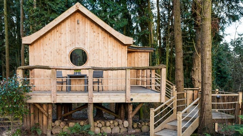 High vaulted ceilings make the 322-square-foot structure feel bigger.