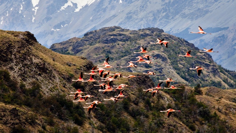 Kristine Tompkins plans to create six more national parks, including one from holdings in Chile's Chacabuco Valley (pictured).