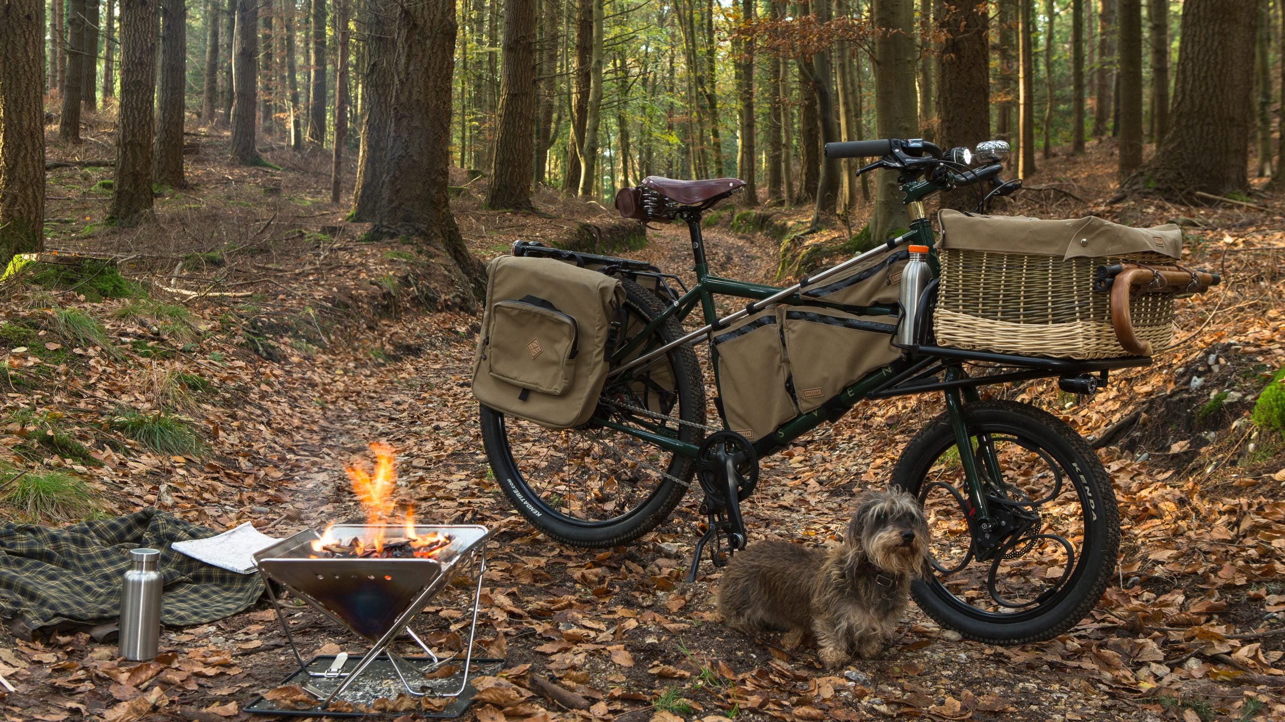Cover more ground on your next mushroom hunt.