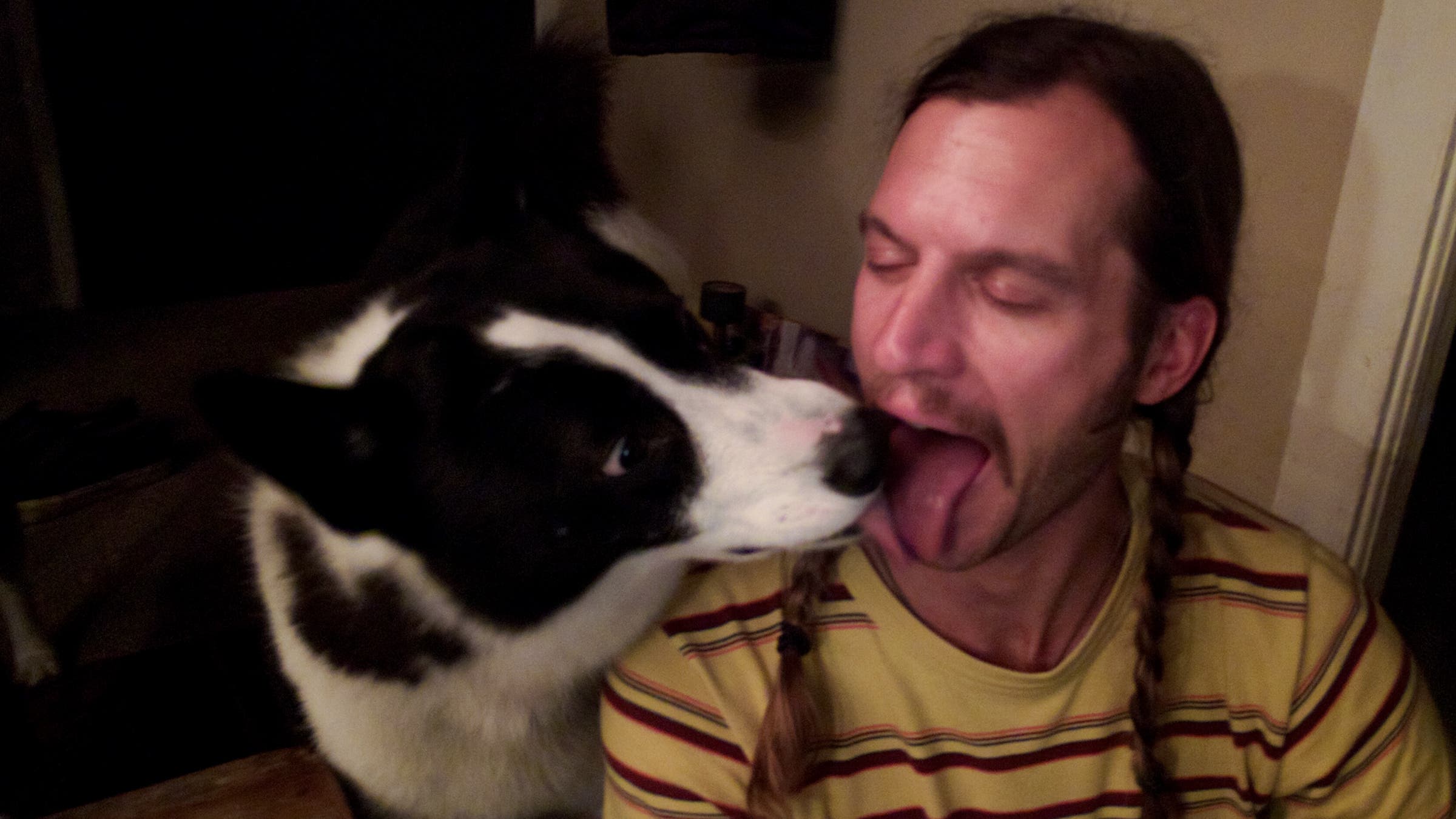 a dog licking a man's face
