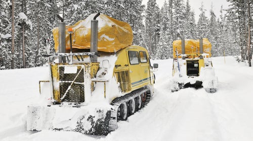 The iconic snowcoaches have operated in the park since 1954.
