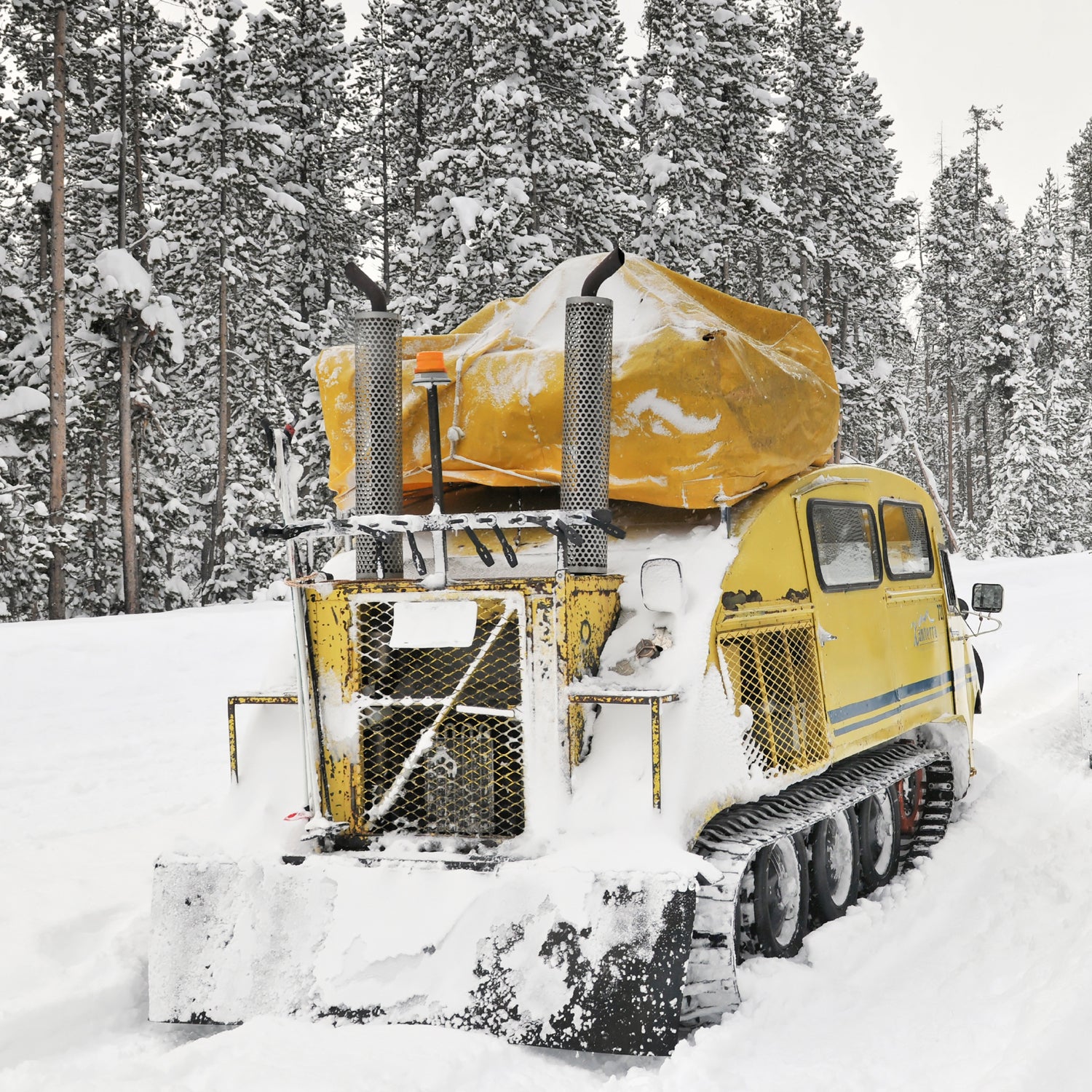 The iconic snowcoaches have operated in the park since 1954.