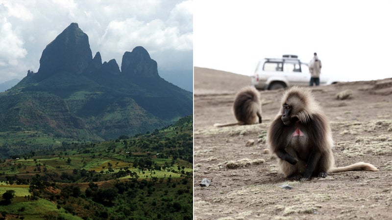 From left: Simien Mountains; Gelada monkey in Simien National Park.