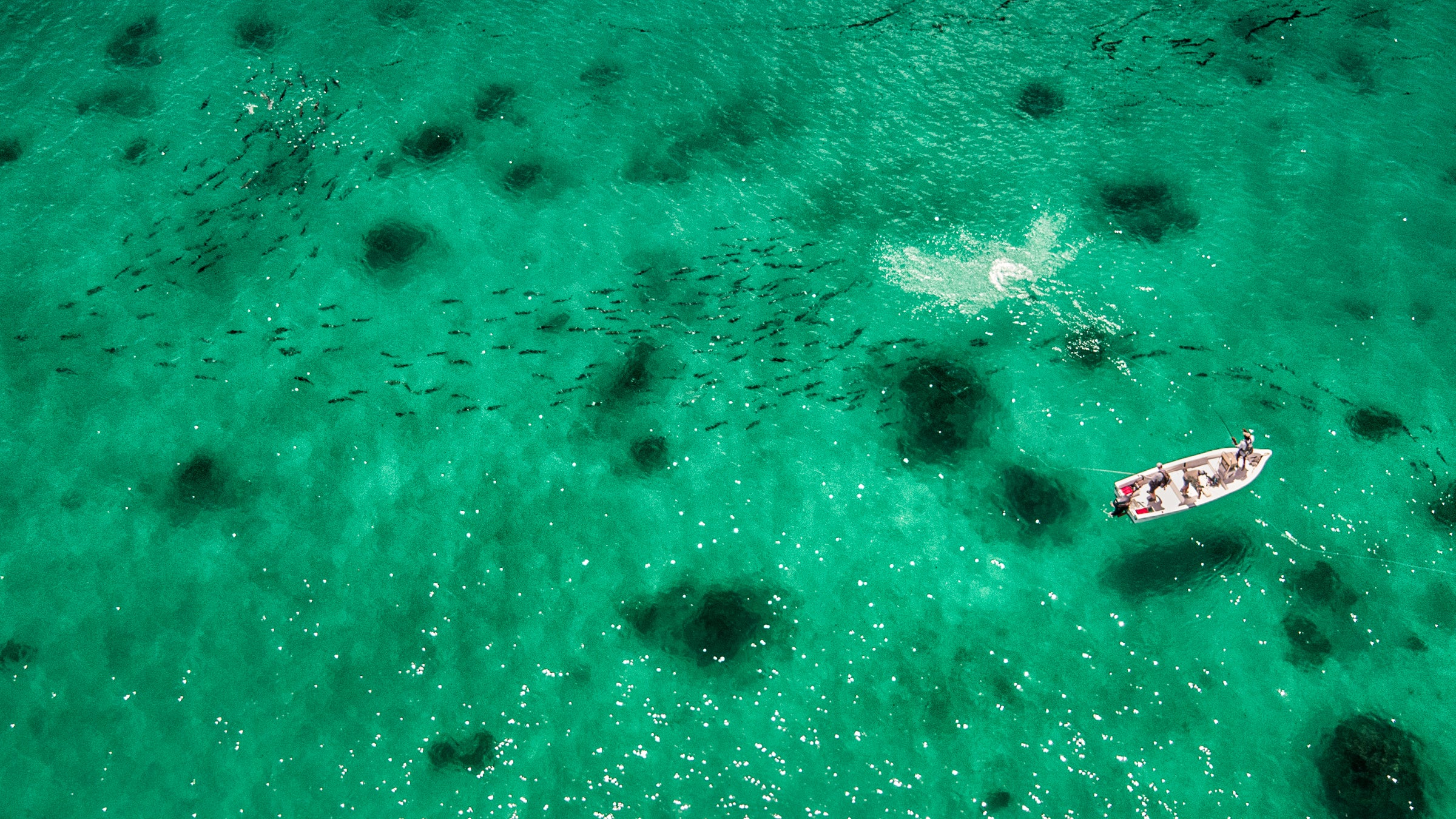 Hooking up off Cosmoledo.