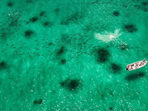 Hooking up off Cosmoledo.