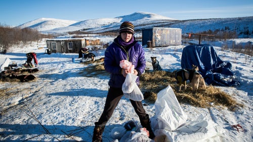 Ryne Olson at the Mile 101 checkpoint during her first Yukon Quest in 2015. She was formerly Aliy Zirkle鈥檚 dog handler and raced their SP Kennels team in the 2012 Iditarod. This year she will run her own Ryno Kennel鈥檚 dog team. Olson is an up-and-coming musher to watch; she recently placed second in the Copper Basin 300, a mid-distance dogsled race.