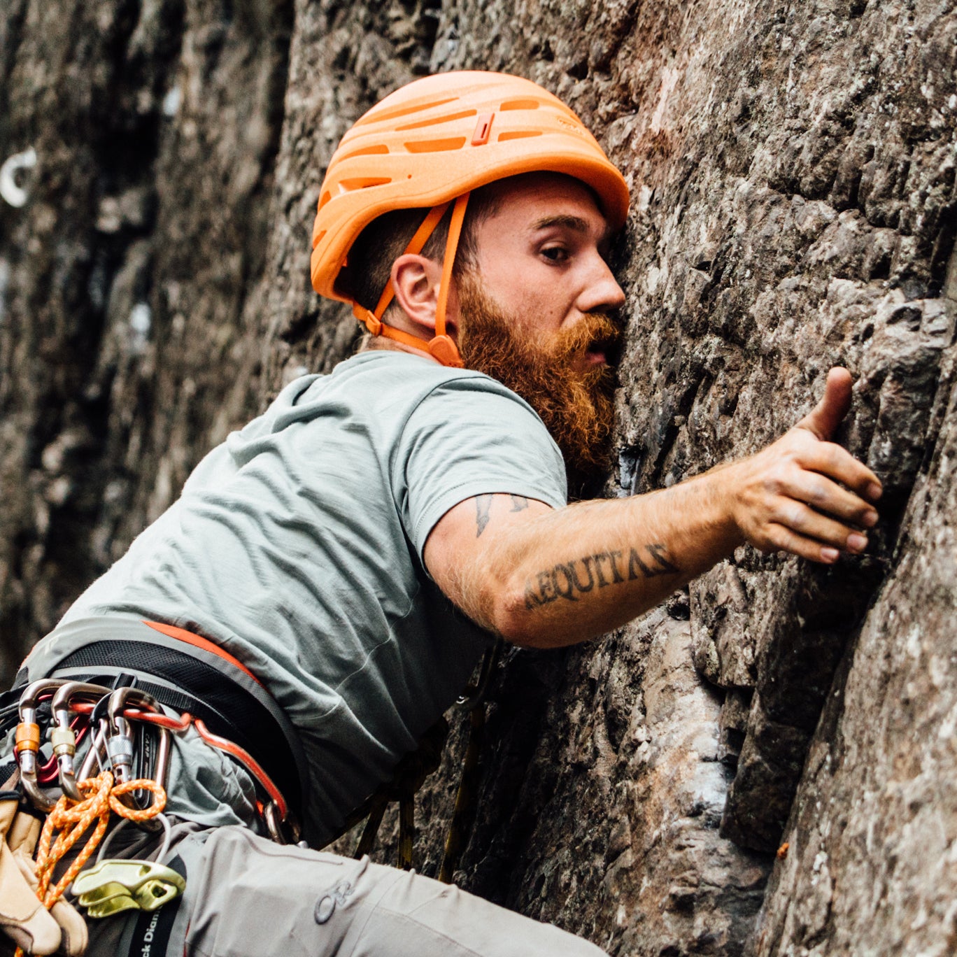 The Noob's Guide to Gym and Outdoor Rock Climbing - Outside Online