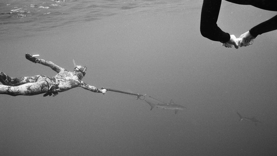 Watch Pro Surfer Mark Healey Tag Sharks for Science Outside Online